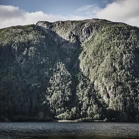 에너지호텔렛 넬스플래텐