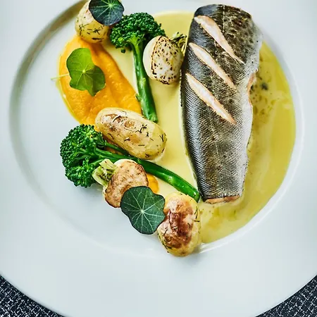 에너지호텔렛 호텔 넬스플래텐